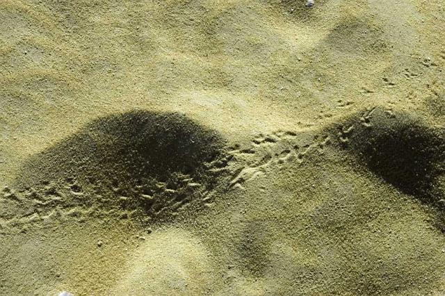 White Desert IMGP4368.jpg